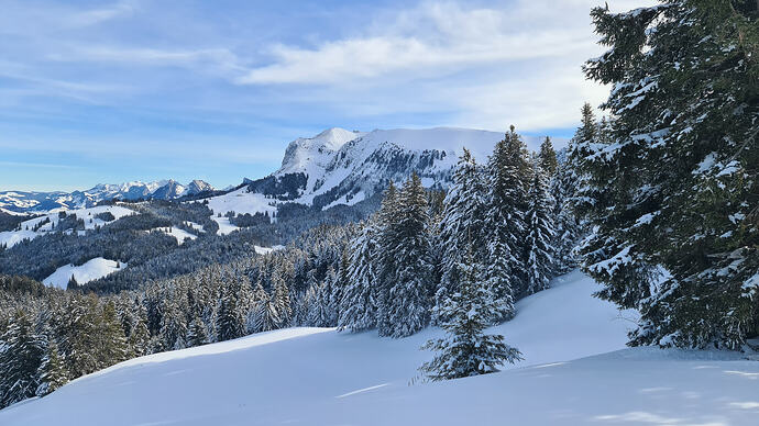 HB3YNJ_Niremont_20260131_1